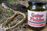 Gator Pickles 14.5 oz.